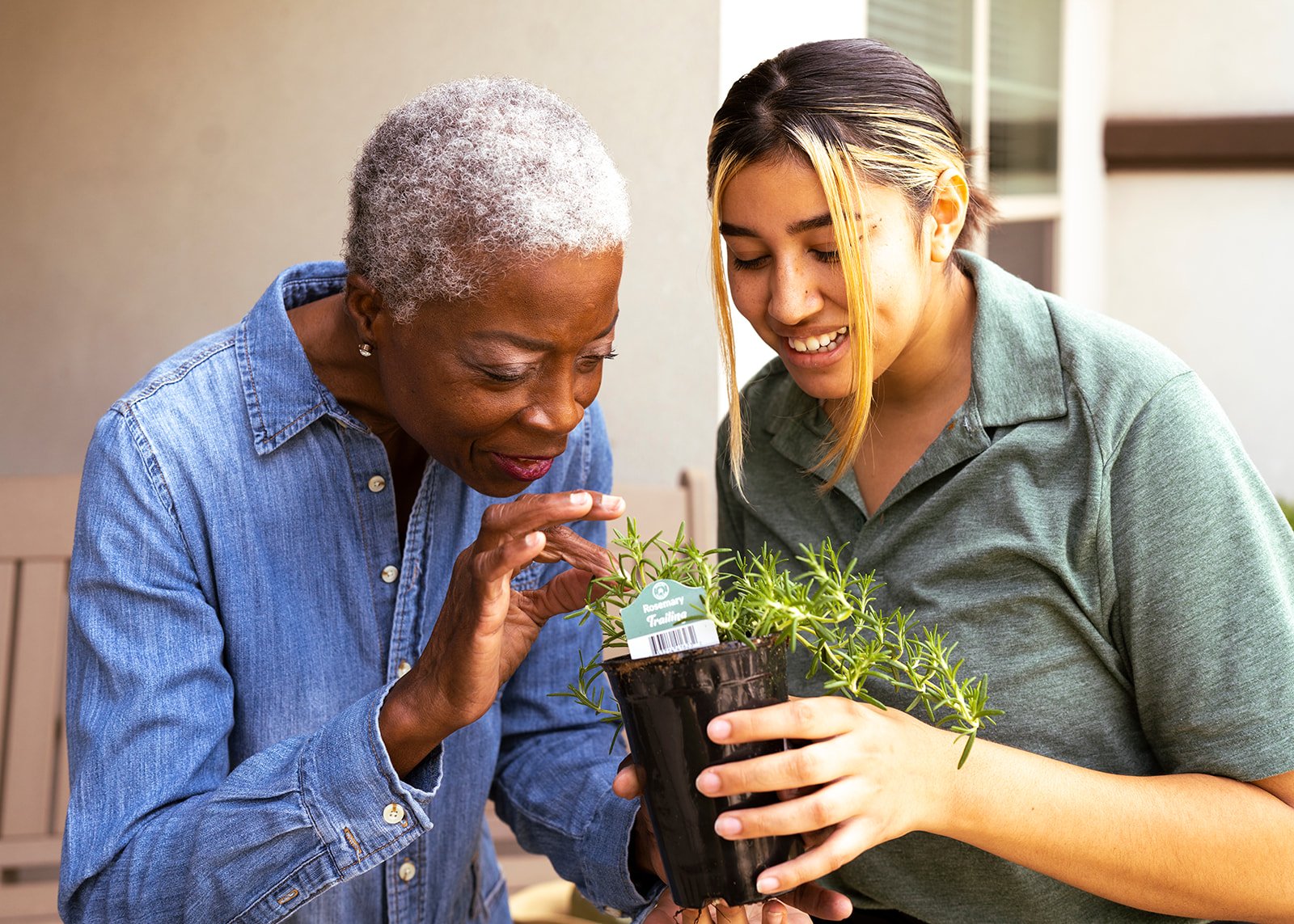 Two women examining a potted rosemary plant